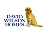 David Wilson homes